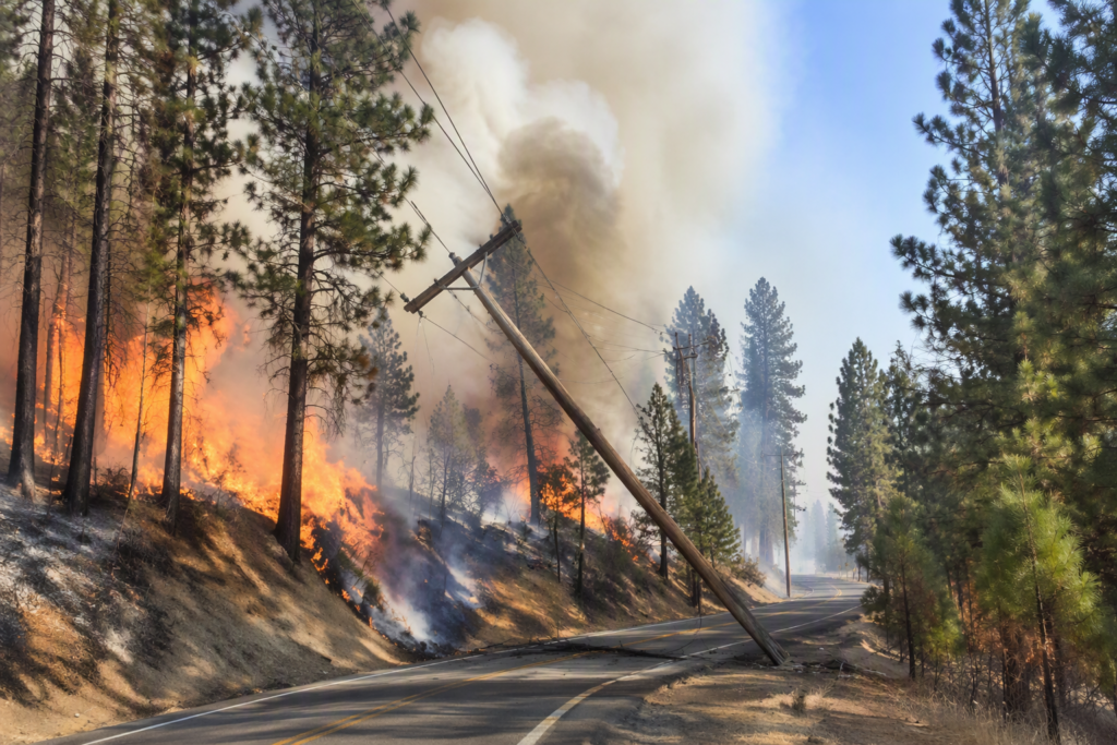 Wildfire burning through a forest with downed power lines and a fallen utility pole, highlighting business continuity and power outage risks during Oregon wildfire season.